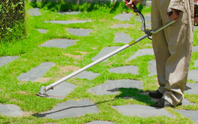 Preparación de Áreas Verdes para la Temporada Seca